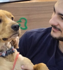 Petland Wellness Vet Clinic