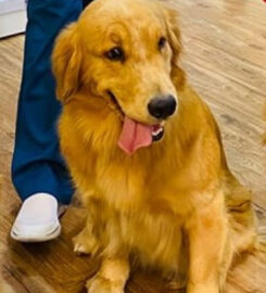 Petland Wellness Vet Clinic