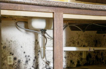 AdvantaClean of Metro New Orleans