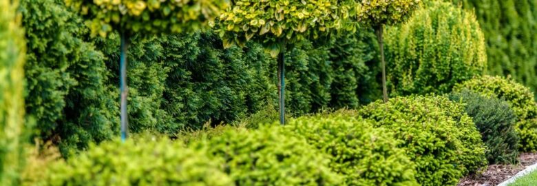 Edmonds Landscaping Pros
