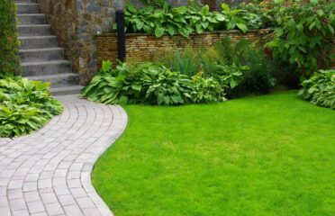 Edmonds Landscaping Pros